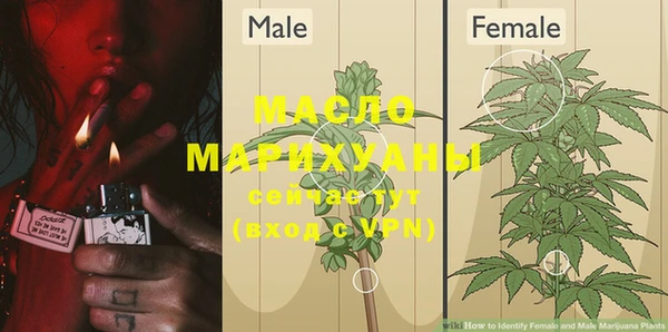 метадон Михайлов