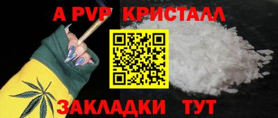 спиды Кимры