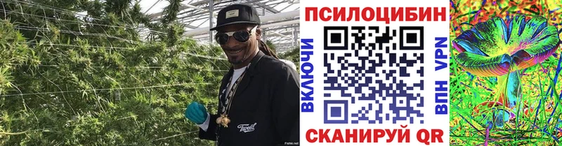 Галлюциногенные грибы Cubensis  Углич 